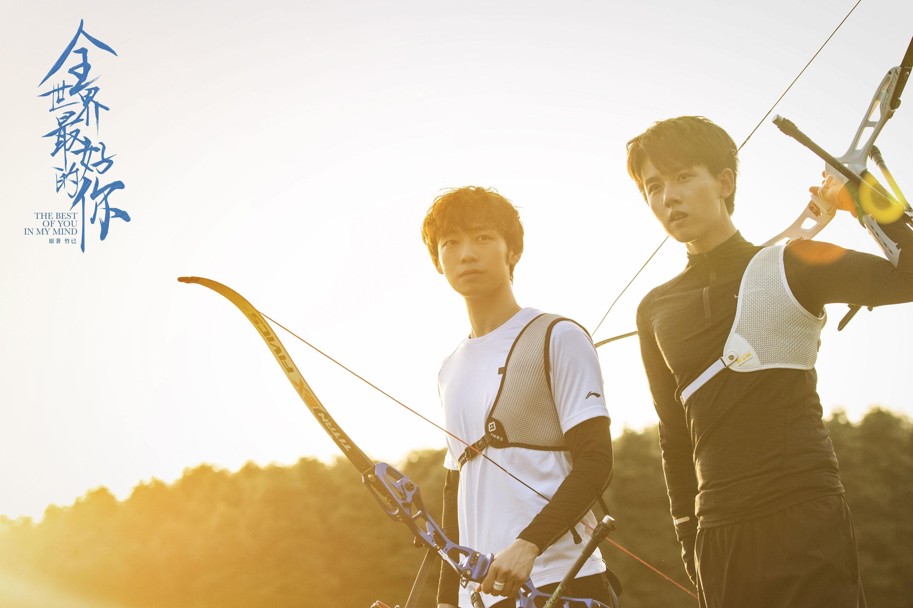 英超区域球迷群体特征与俱乐部运营策略匹配,英超各队球迷数量排名