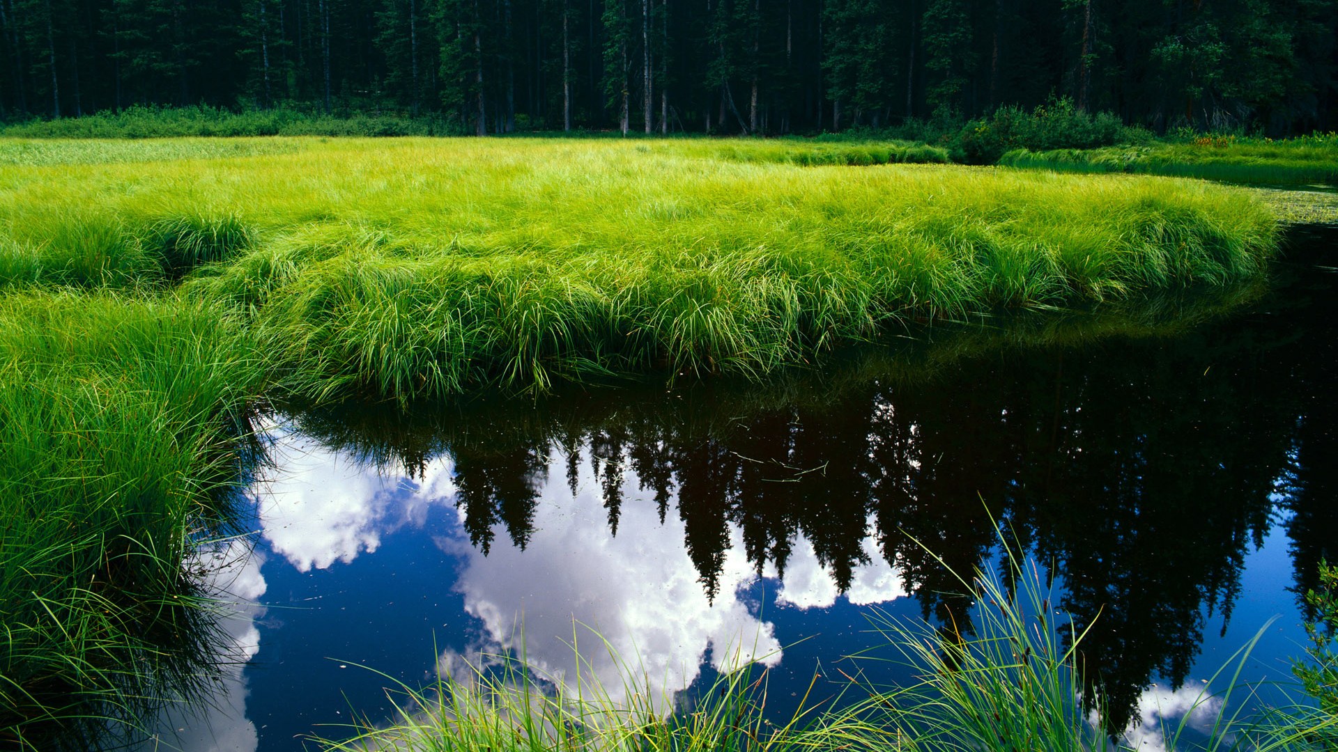 PSG防线漏洞被切尔西前锋多次利用,切尔西后防线