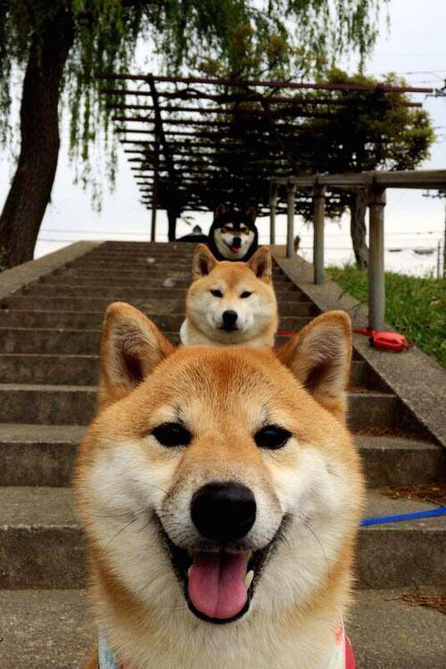 体育新闻中心发布体育新闻内容原创度监测工具,最新体育新闻文字版