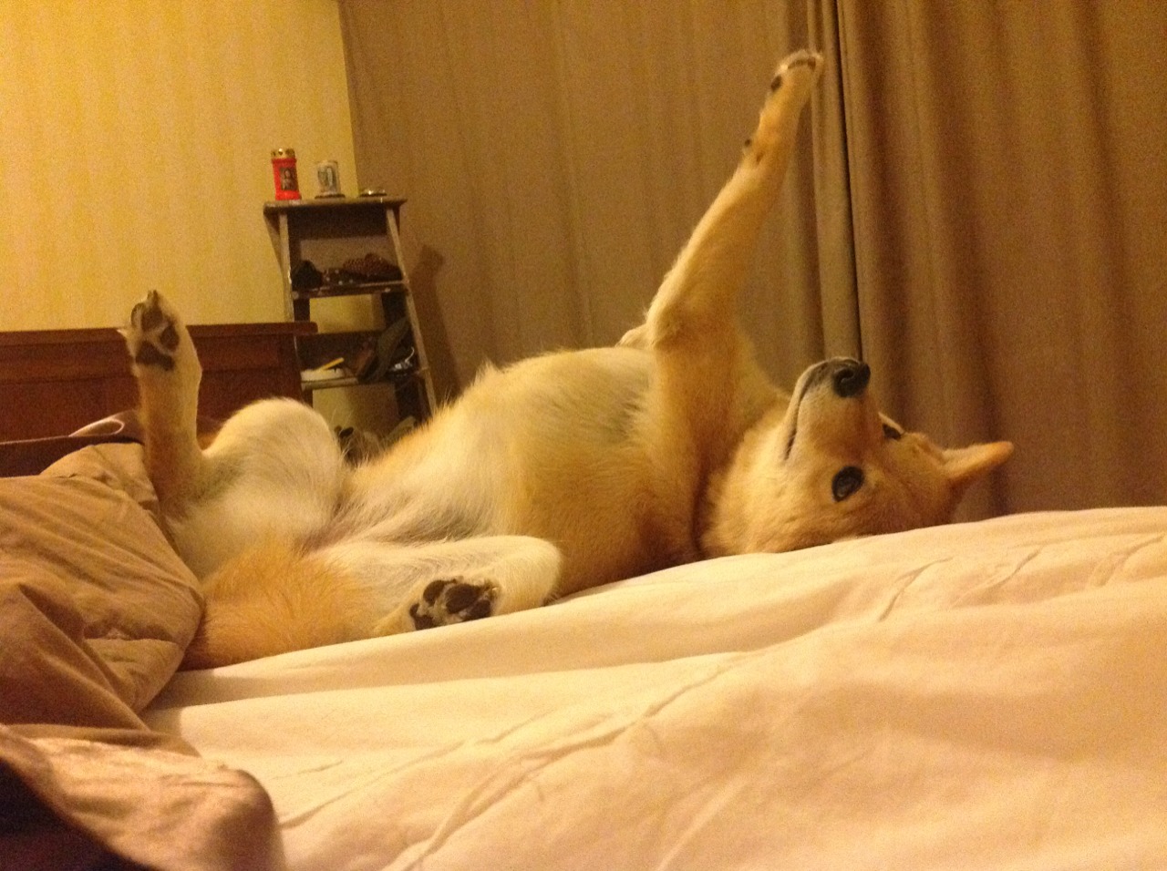 开云官网-新赛季联赛规则加入饮水时间明确规定，联赛准备时间