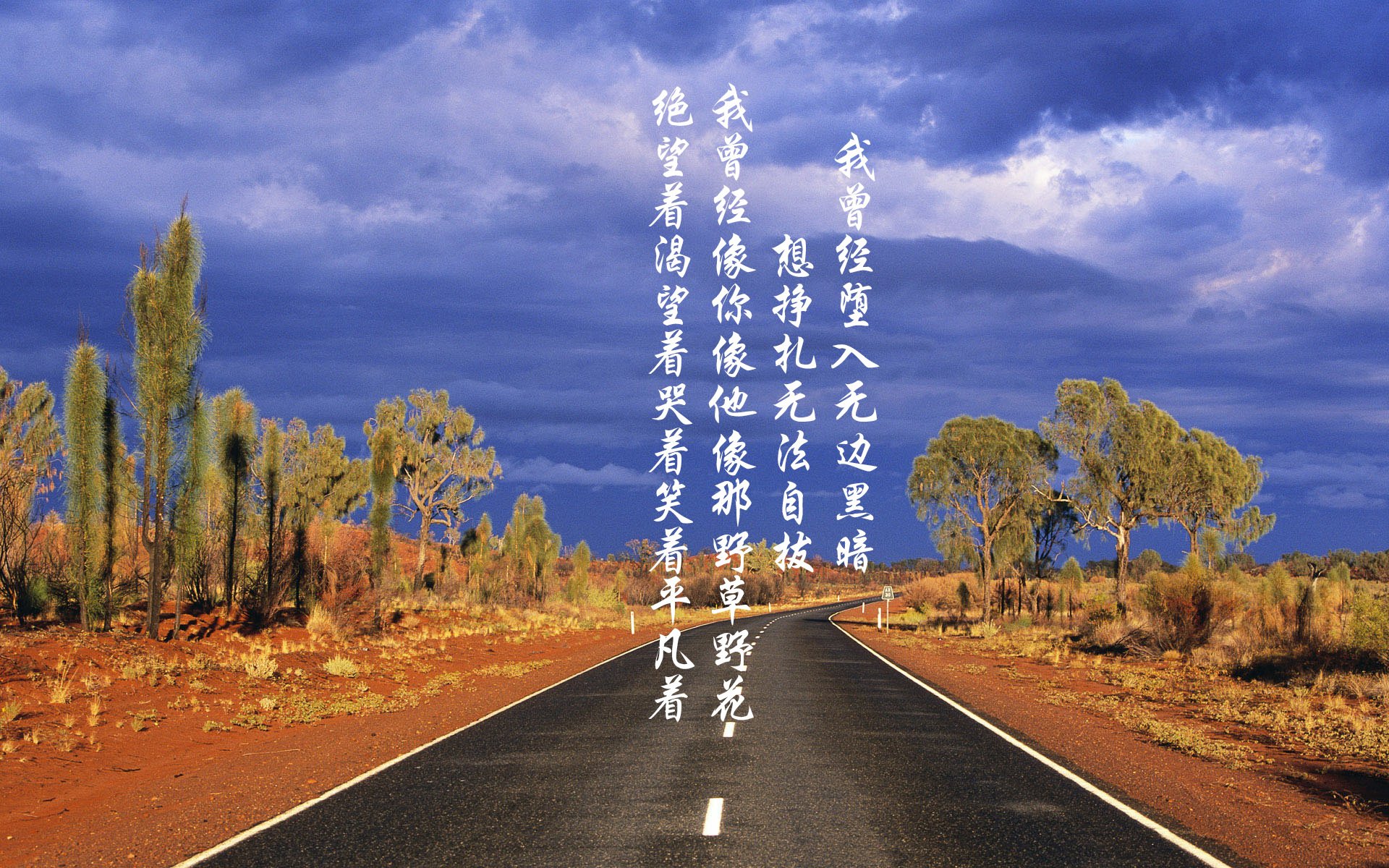 kaiyun.com-“萨尔·巴赫的背后故事：从草根到南非橄榄球明星”