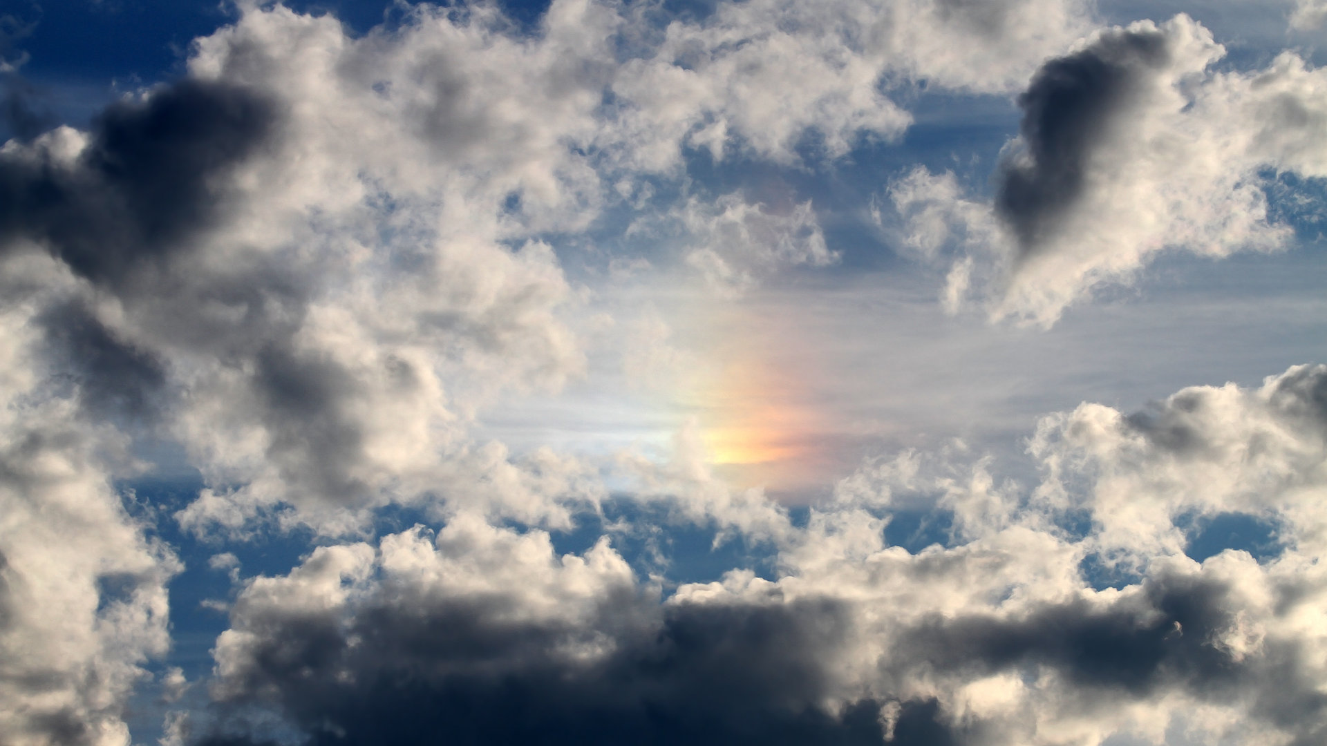 校园足球与区域体育局协同推进基础设施优化，校园足球建设情况