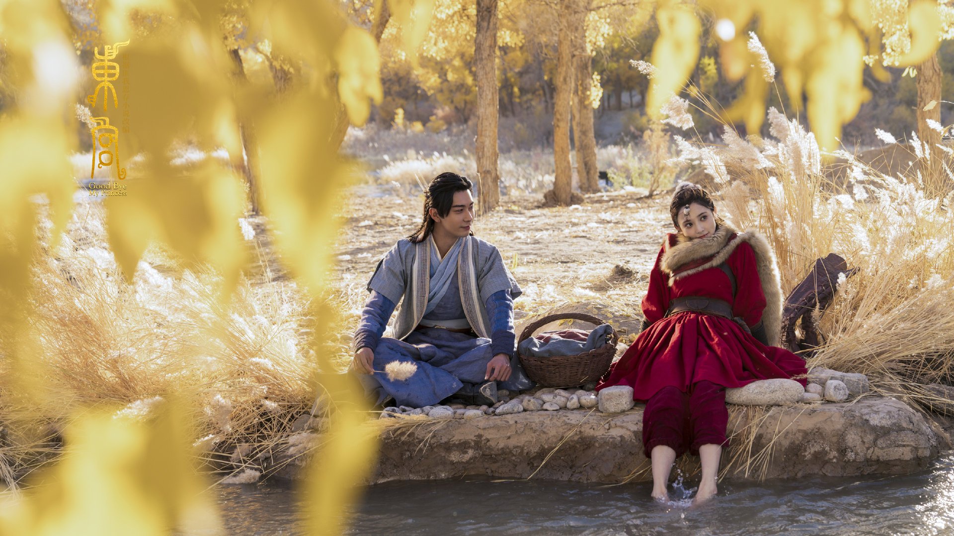 火箭更新球员个人数据页面提升球迷互动体验，火箭球队球员