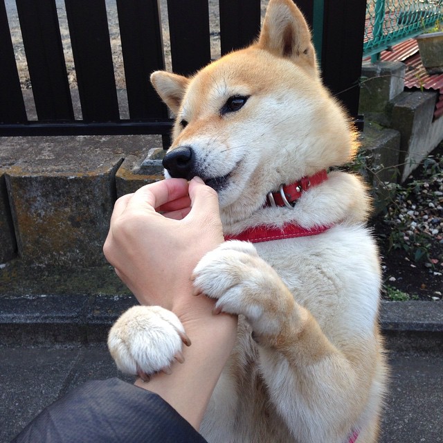 球员签约仪式走向国际化，跨国媒体全程报道，签约球员交易