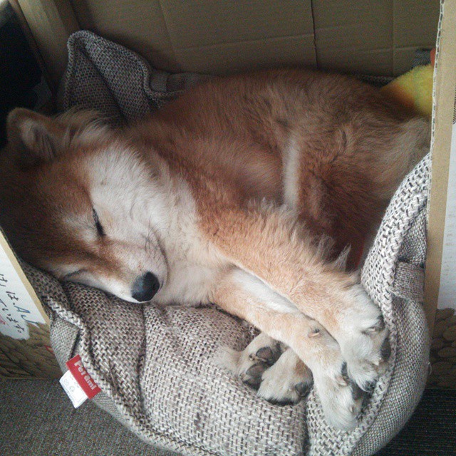 kaiyun开云·官方网站-西甲攻防对撞：精彩瞬间不停上演！，西甲比赛分析gmanbetx